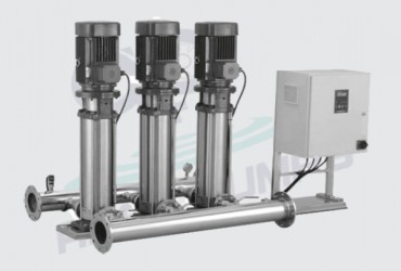 Apex Pumps